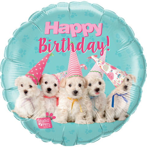 Studio Pets ‰ÛÒ Birthday Puppies  Foil Balloon