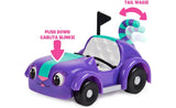 Gabby's DH Carlita & Pandy Paws Picnic Vehicle