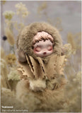 Stylized POP MART’s Skullpanda in a fur coat with a detachable collar amidst dried plants.