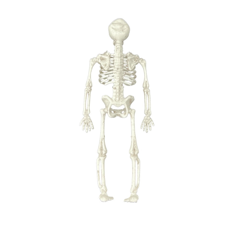 Halloween Sketelons 18cm 6Pcs/Pk