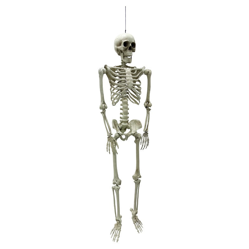 Halloween Sketelon 40x20x153cm