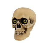 Halloween Skulls 2Pcs/Pk