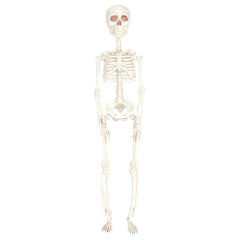 Halloween Decorations