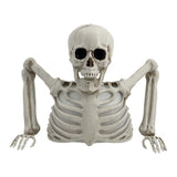 Halloween Decorations