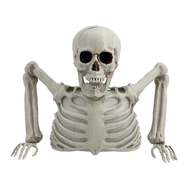 Halloween Decorations