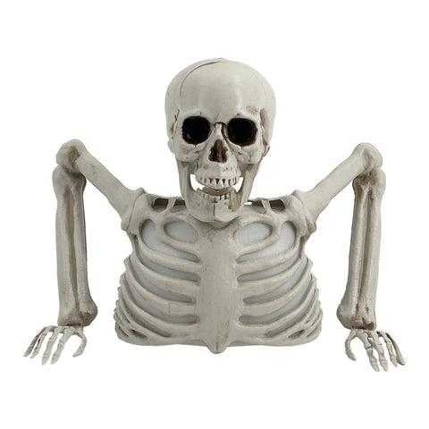 Halloween Decorations