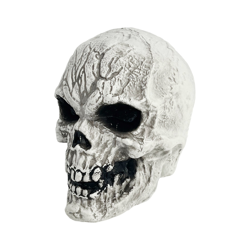 Decoration Skull 12x13x14cm