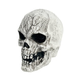 Decoration Skull 12x13x14cm