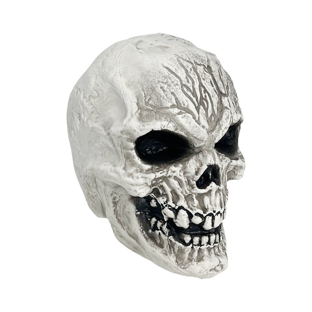 Decoration Skull 12x13x14cm