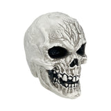 Decoration Skull 12x13x14cm