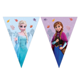 Frozen Idyllic Wonder FSC Paper Triangle Flag Banner (9 Flags) 1ct
