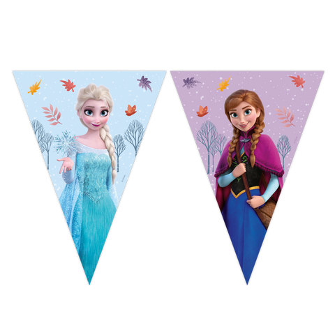 Frozen Idyllic Wonder FSC Paper Triangle Flag Banner (9 Flags) 1ct