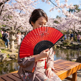 21cm Decorative Folding Fan – Traditional Chinese Hand Fan for CNY, Dance & Home Decor