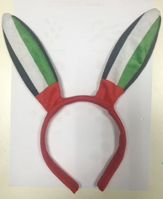 UAE Flag Headband