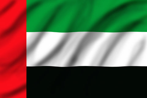  UAE National Flag Small