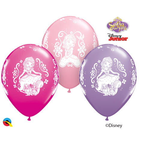  Dn Sofia The First 12In Round 06 pieces Special Ast