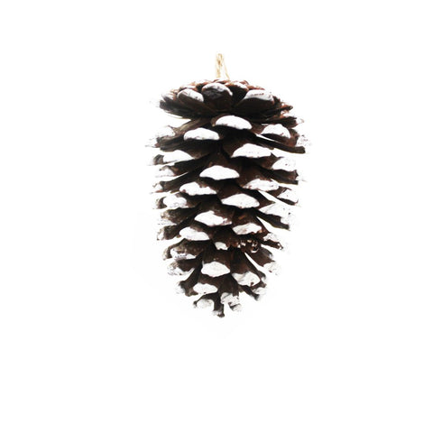 Deluxe Cones Nature With Snow 2Pcs/Pk 8X5Cm