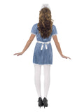 Nurse Naughty Costume Blue With Dress Apron & Hat