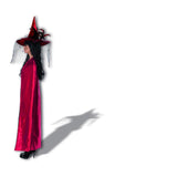 Reversible Cape
