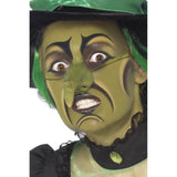 Witch Make Up Kit