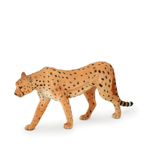 Cheetah Male New Colour 2017