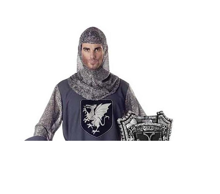 Valiant Knight Costume