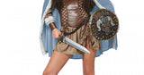 Viking Vixen Female Costume