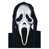 Ghost Mask Face With Shroud