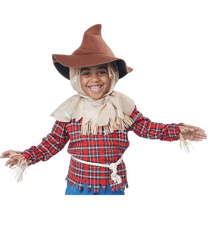 Harvest Time Scarecrow Toddler Boy Costume