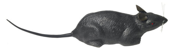 Halloween Scary Rats