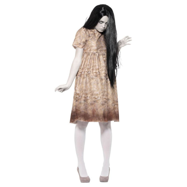 Evil Spirit Costume Grey With Decayed Dress & Wig
