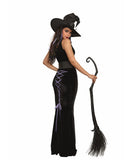 Bewitching Beauty Women Costume