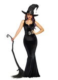 Bewitching Beauty Women Costume