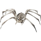 Spider Skeleton Prop