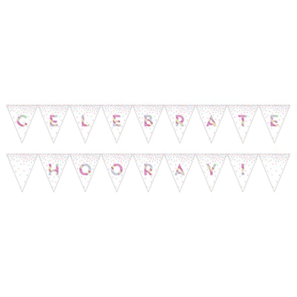 Iridescent Pennant Banner Celebrate