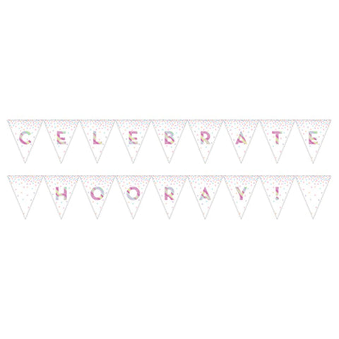 Iridescent Pennant Banner Celebrate