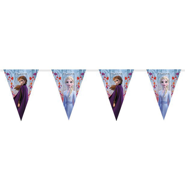 Disney Frozen 2 Triangle flag banner 9 flags