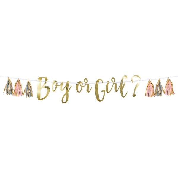 Baby Shower Décor Foil Banners W/ Tassels “Boy Or Girl?” 1 pc
