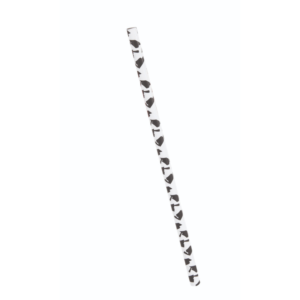 Graduation Paper Straws