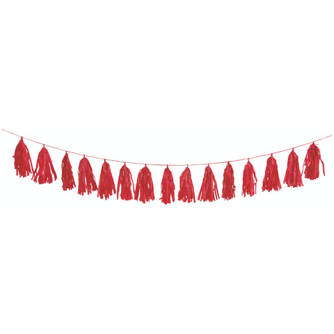 Tissue Paper Tassel Garland