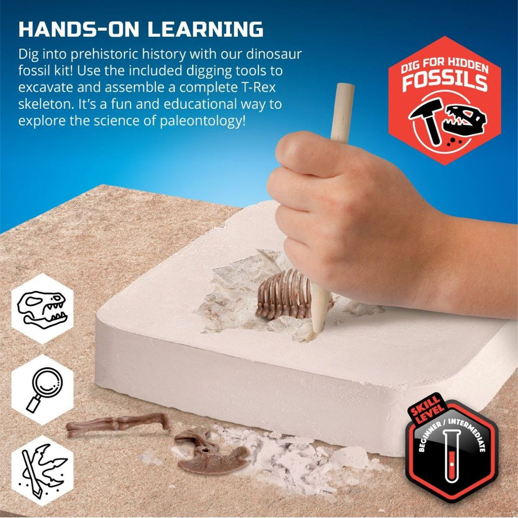 Toy Dinosaur Excavation Kit Skeleton 3D Puzzle - T-Rex