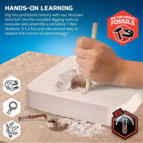 Toy Dinosaur Excavation Kit Skeleton 3D Puzzle - T-Rex