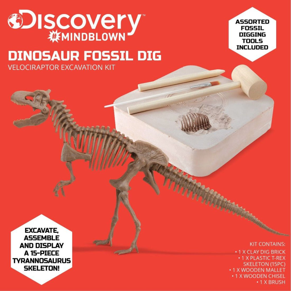 Toy Dinosaur Excavation Kit Skeleton 3D Puzzle - T-Rex