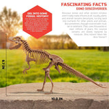 Toy Dinosaur Excavation Kit Skeleton 3D Puzzle - T-Rex