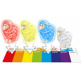 CoComelon The Colour Learning Sheep