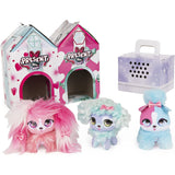 Present Pets Minis 1-PK Asst.