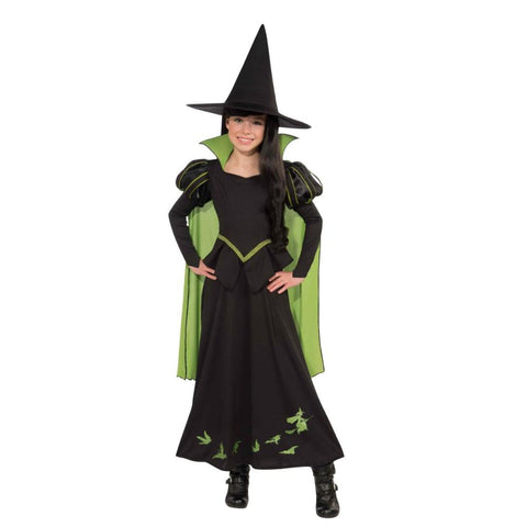 Wicked Witch Of The West Halloween Sansations Girl Costu