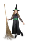  Storybook Witch Costume -Medium
