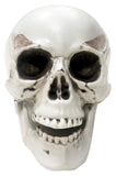 Mini Skulls 3pc