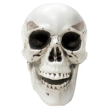 Mini Skulls 3pcs